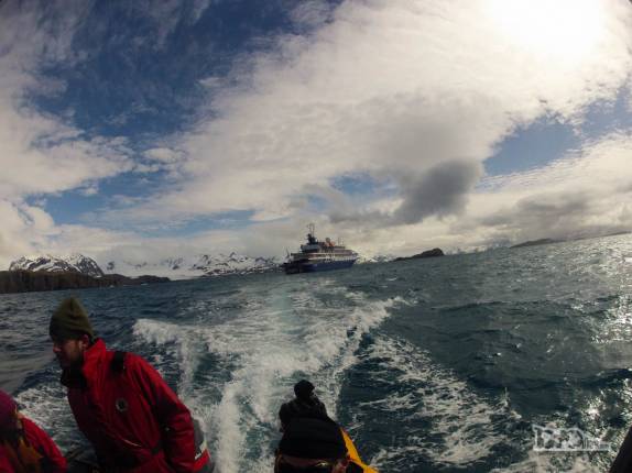 O Sea Spirit fica para trás enquanto nos encaminhamos para nossa priemira sessão de caiaque, em Prion Island, na Geórgia do Sul